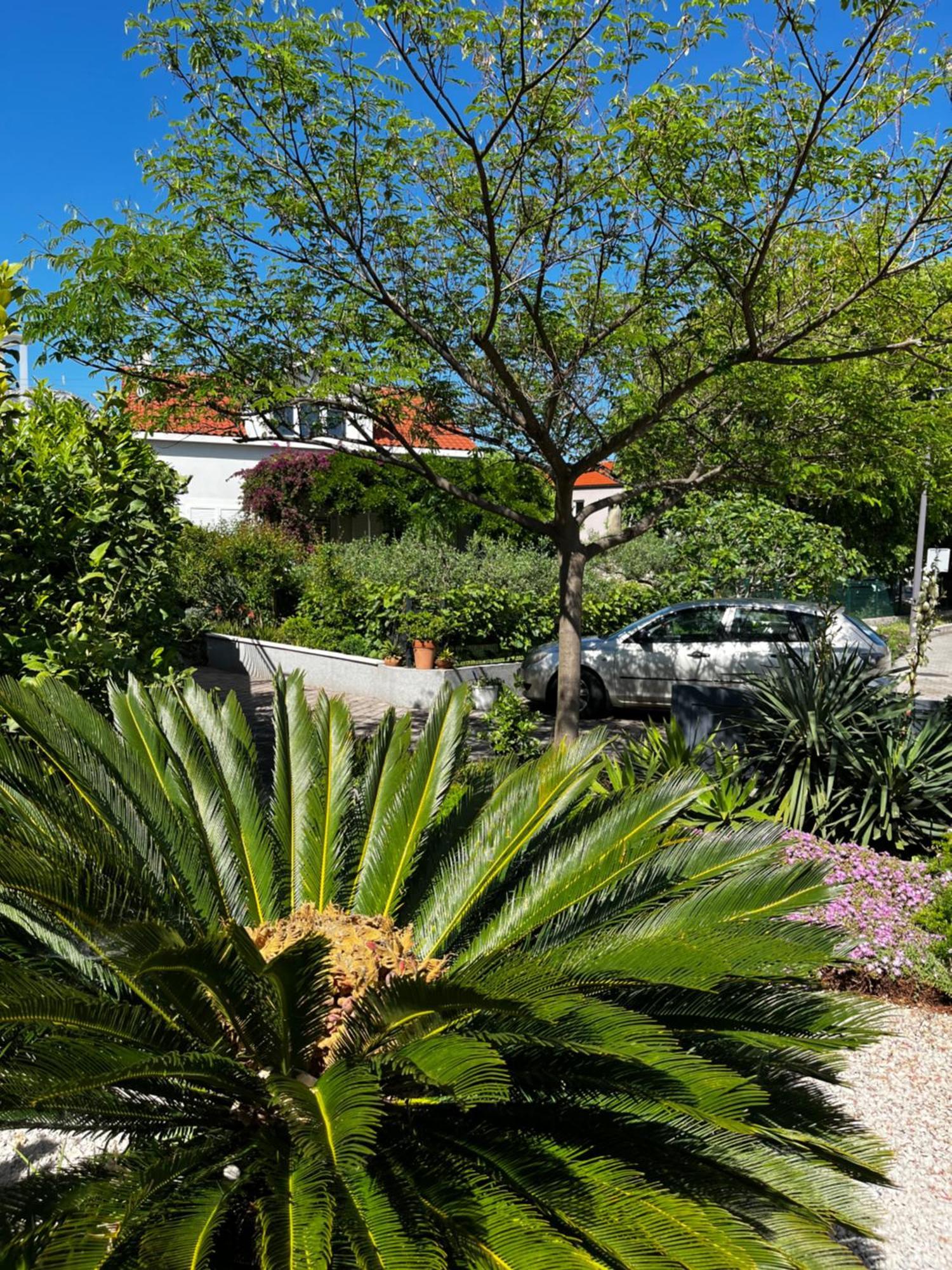 Tianri Apartment Korcula Town Bagian luar foto